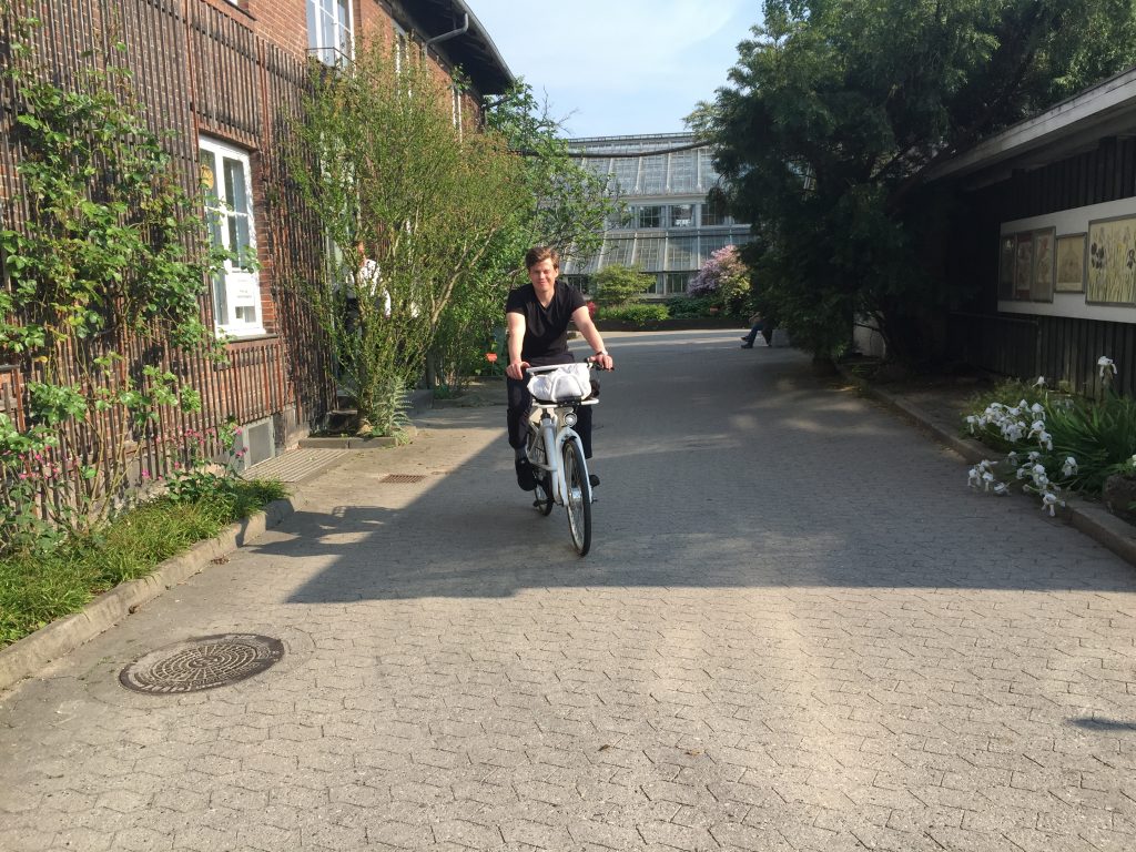 Hva med å ta en sykkeltur til den botaniske hagen i København? Den fantastiske hagen er absolutt verdt å oppleve!