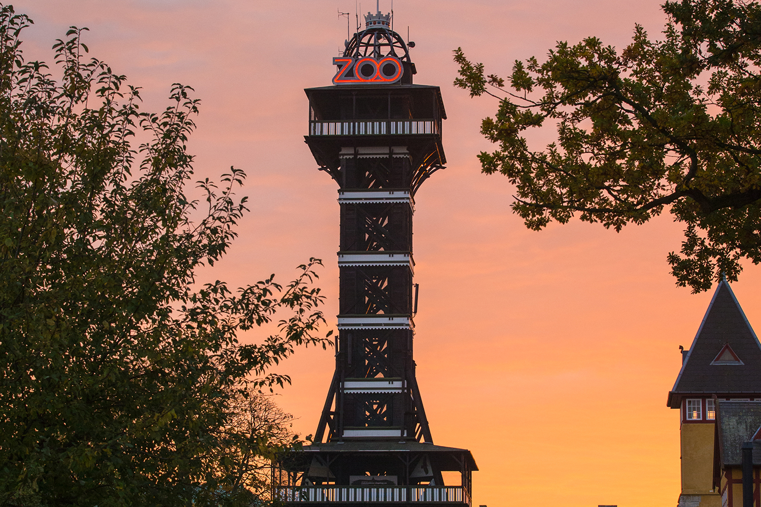 Solnedgang og det flotte tårnet i Zoo.